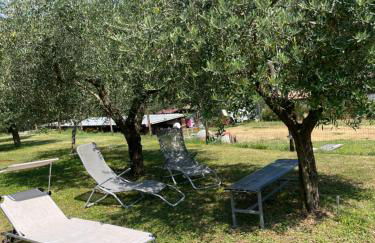 La Zinevrela - Foto 35