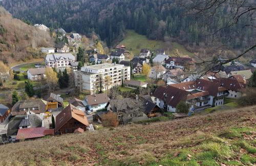 Ferienwohnung Todtmoos - Foto 22