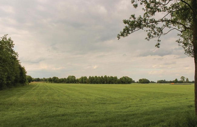 Cozy Forest-edge Home - Foto 30