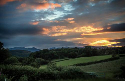 Maes Madog Cottages - Foto 51