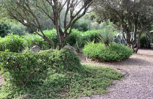 Dòmo a Palàttu casa vista mare a Porto Rotondo - Photo 41