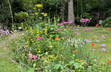 The Cabin, Roundabout Lane - Foto 7