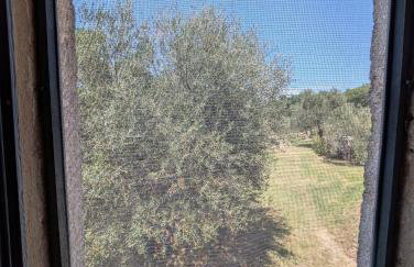Podere Spedalone - Photo 4