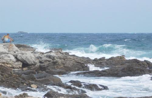 Apartments Mirjana - Photo 40