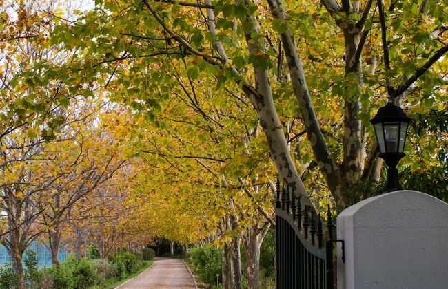 Sanddrif Guest Farm - Foto 38