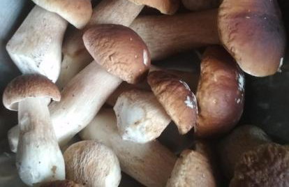 Na Skraju Szlaków - Foto 43