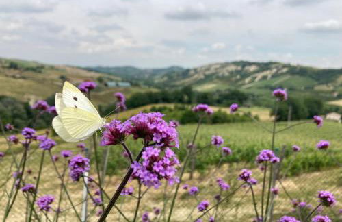 Agriturismo Camponovo - Photo 7