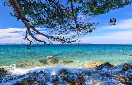 Vila Maslina Apartments mit Pool und Garten nahe am Strand - Foto 27