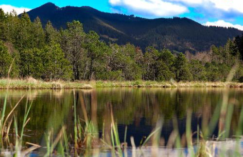 Hörnlestubn - Foto 59