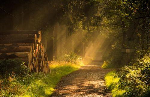 Sauerland-Häuschen Kleine Auszeit - Foto 17