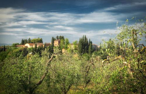 Fattoria Di Pancole - Foto 78