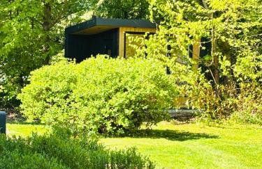 Nasze Calle - Foto 7