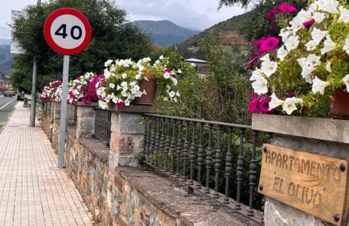 Apartamento El Olivo - Photo 39