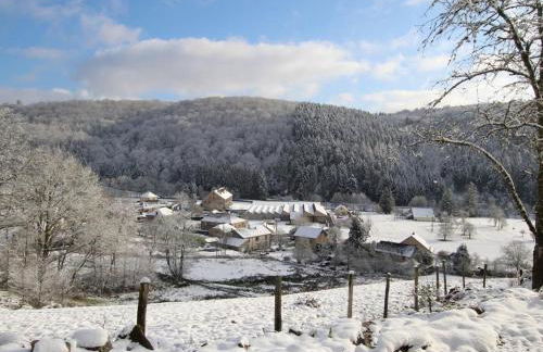 Gîte 2 chambres avec WiFi, proche Luxeuil-les-Bains - FR-1-583-368 - Foto 33