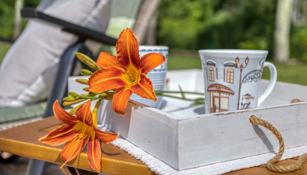 Villa Malini - Foto 5, Terrace