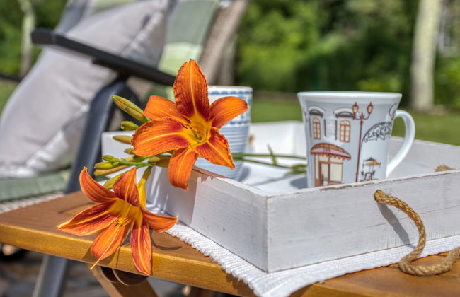 Villa Malini - Photo 18