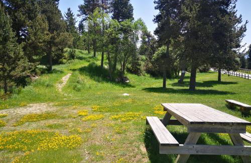 Apt confortable au pied des pistes et de la forêt - Foto 59