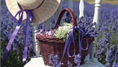 Grange Voutée avec jardin - Foto 4