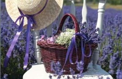 Grange Voutée avec jardin - Foto 4