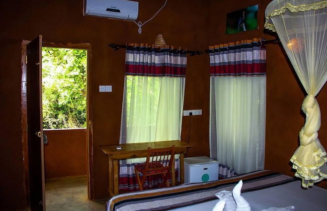 Thick forest sigiriya - Photo 14