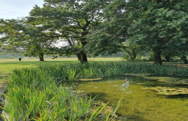 Holiday Home in Netherlands Pond View - Photo 32