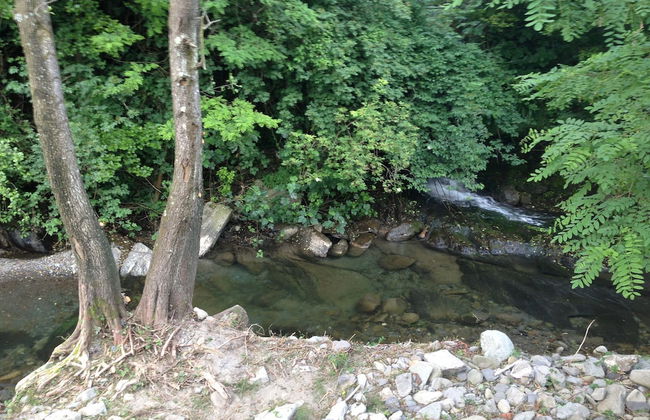 Podere Campofossato - Photo 43