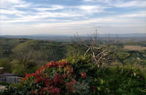 Oasi del borgo Montefollonico - Foto 16