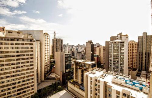 Capivara Urbana - Foto 20