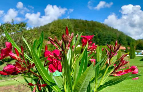 Le Gîte de l'Ecureuil - Foto 25