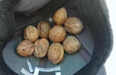 Το Μικρό Σπίτι στη Φάρμα! - Photo 15