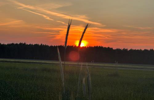 Chatka Jezioranka & bania - Foto 58