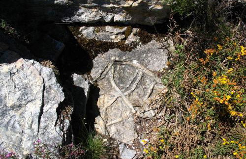 Casa da Cerejinha - Foto 35