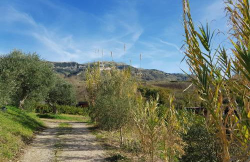 Il Bevaio di Corleone - Foto 96