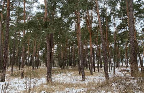 Family & Business Sauna Tężnia Apartments No18 Leśny nad Zalewem Cedzyna -1 Bedroom with Private Sauna, Bath with Hydromassage , Terrace, Parking, Catering Options - Foto 59