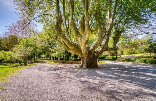 Le Vieux Moulin - Foto 16