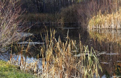 Kessler's Mountain Lodge - Foto 37