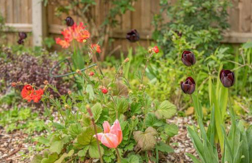 4 Bed in Wool oc-p28895 - Photo 16