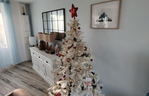 Terrasse du Mont St Michel, vue imprenable, appart cosy proche Mont St Michel - Foto 44