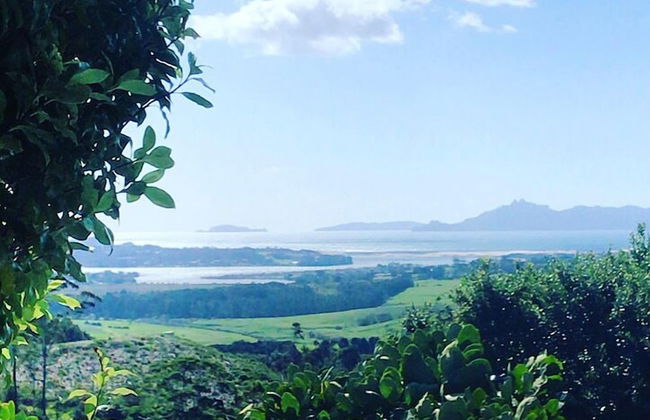 Mangawhai Retreat Apartments - Foto 45