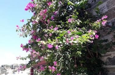 Villa Appetite - Photo 6