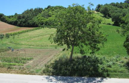 Casa Vacanze da Peppa - Foto 11