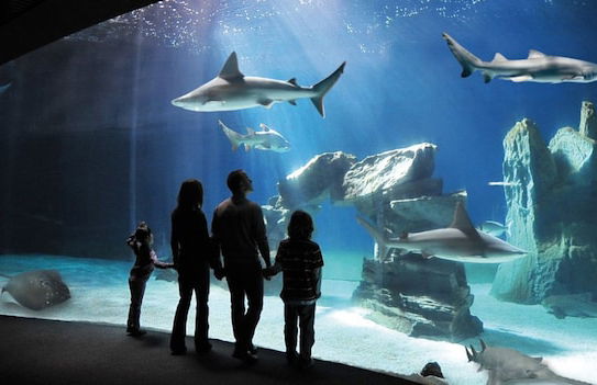 Home Grifondoro Bed & Breakfast - Foto 39