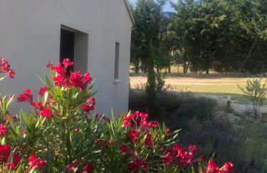 Villa de charme à Cucuron au pied du luberon - Foto 27