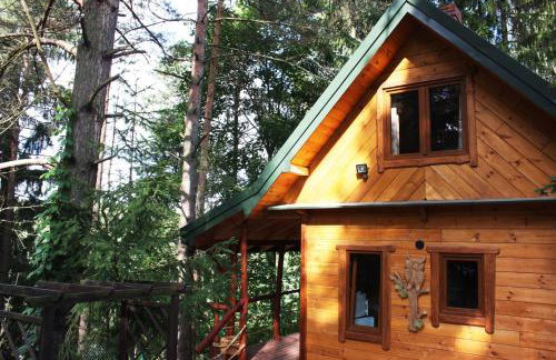 Domek Moczykija - Foto 58