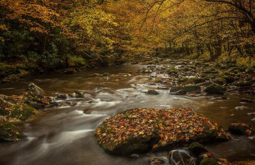 Lazy Bear Den - Foto 46