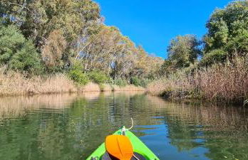 Villa Vivimar - Foto 43