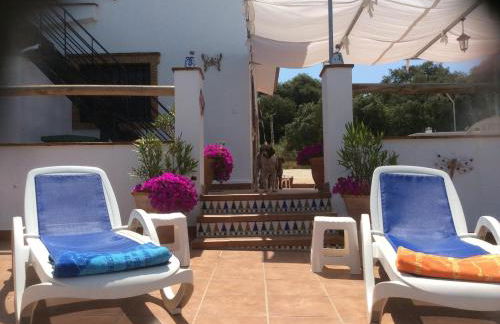 Finca Los Jacaros - Foto 17