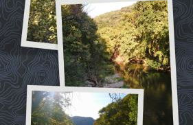 Haus Andreas - Foto 16