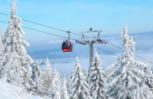 JAFERÓWKA Domki w górach SAUNA JACUZZI - Foto 9