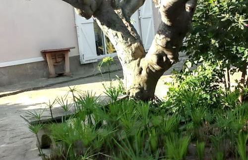 Appartement confortable à Hyères avec terrasse - Foto 8